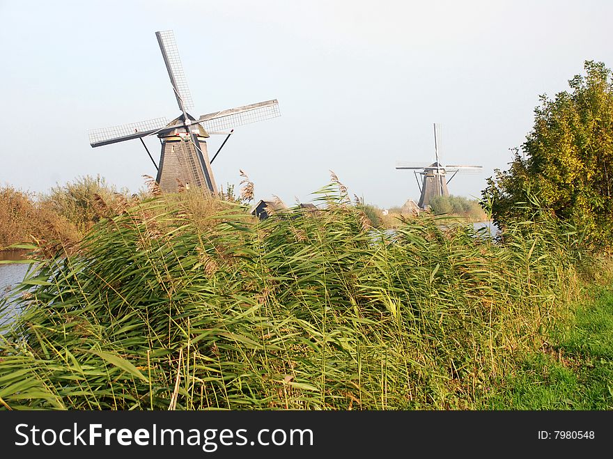 Windmills in Kinderdijk near Rotterdam (Holland)