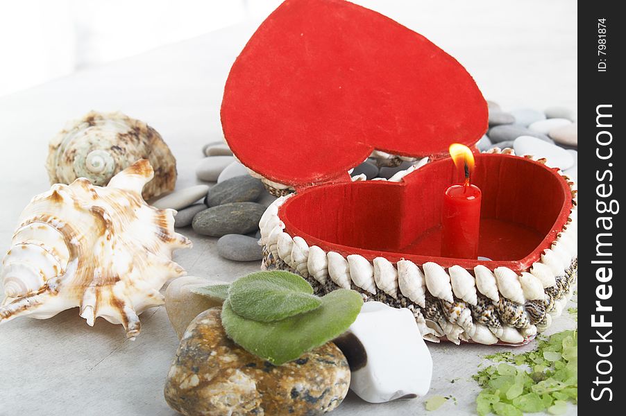 Celebratory composition from sea bowls and heart. Celebratory composition from sea bowls and heart