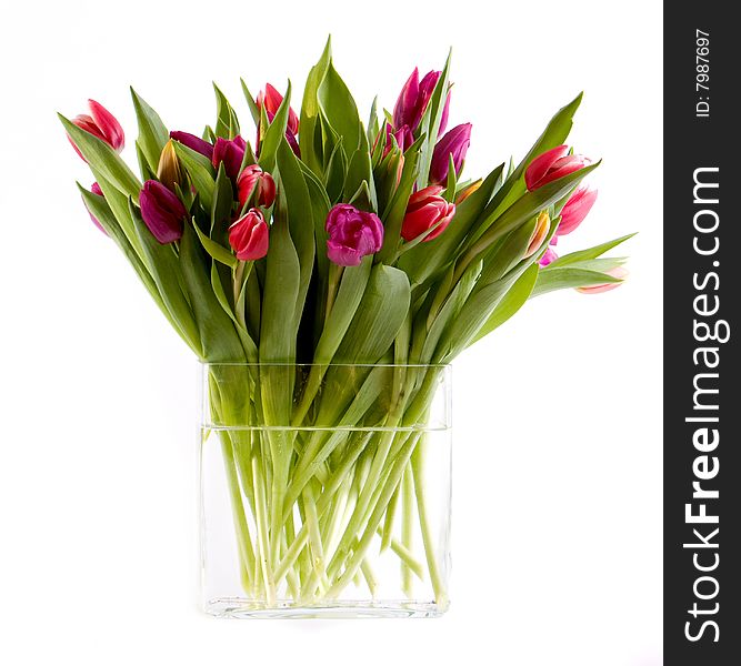 Vase Full Of Tulips