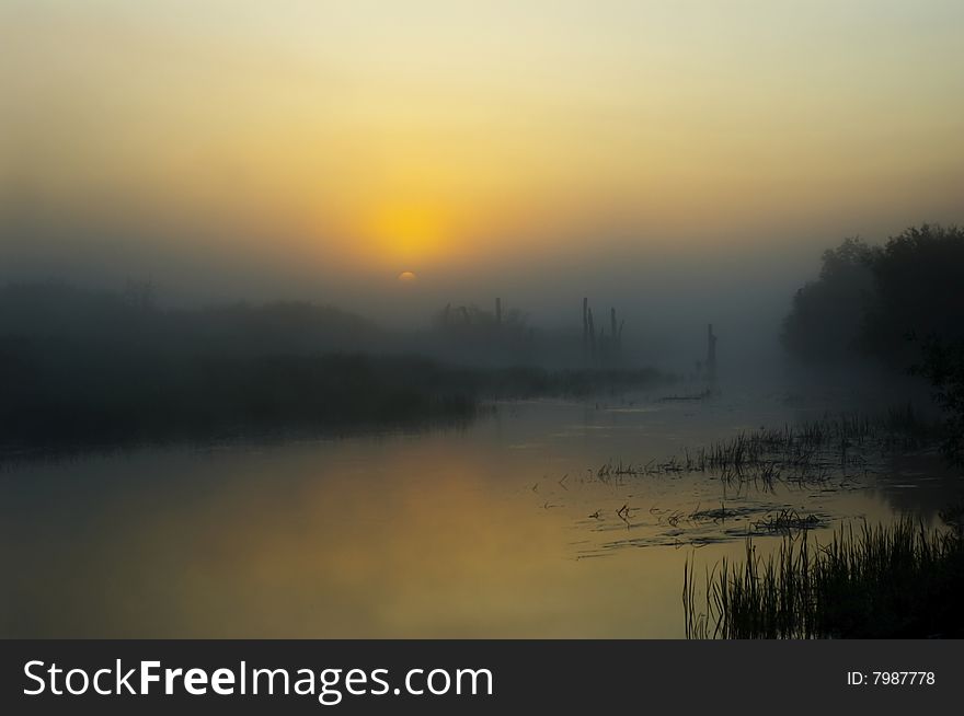 Foggy morning on small lake. Foggy morning on small lake