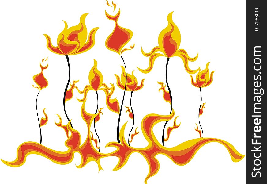 Isolated flowers with fire theme. Isolated flowers with fire theme