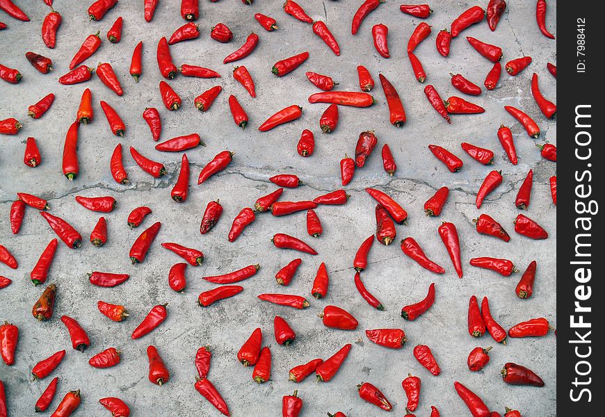 Chilli peppers drting in the sun. detailed view,. Chilli peppers drting in the sun. detailed view,