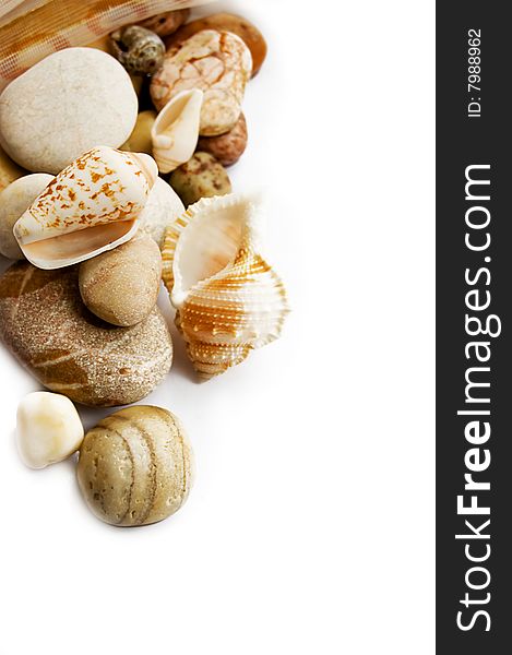 Assorted sea shells and stones over white with copy space