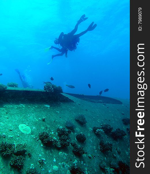 Scuba Diver around Wreck, Red Sea