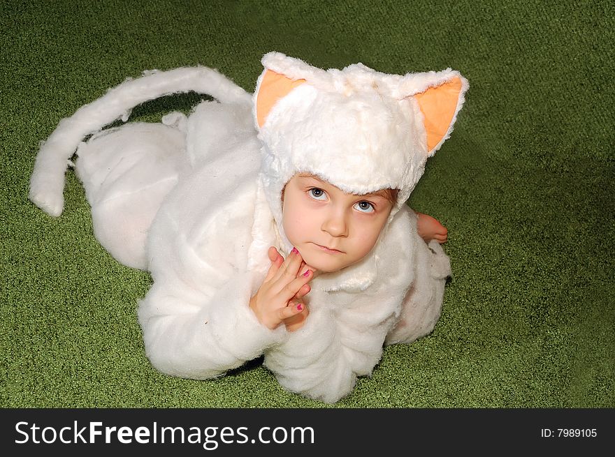 White kitten costumed