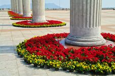 Flowers In Century Plaza Stock Photography Flowers In Century Plaza Stock Photography