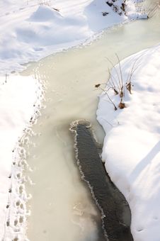 Animal Tracks Along River Edge Royalty Free Stock Photography Animal Tracks Along River Edge Royalty Free Stock Photography