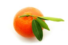 Tangerine Royalty Free Stock Images Tangerine Royalty Free Stock Images