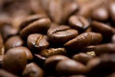Freshly Roasted Coffee Beans On Sackcloth Royalty Free Stock Photography Freshly Roasted Coffee Beans On Sackcloth Royalty Free Stock Photography