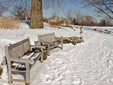 Snowy Benches Royalty Free Stock Photos