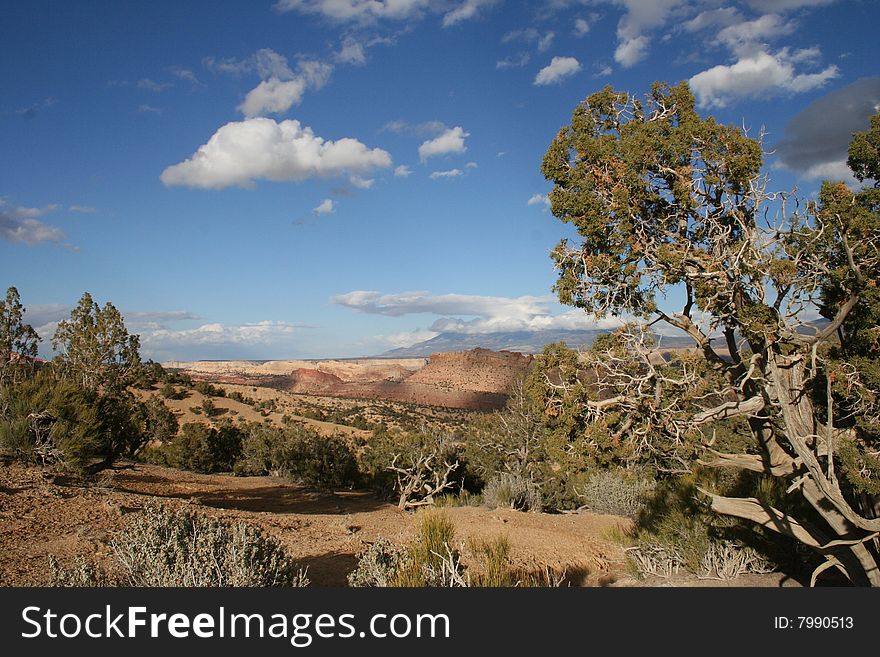 On top of the Burr Trail a few miles before Boulder you see a beautifull Capitol Reef. On top of the Burr Trail a few miles before Boulder you see a beautifull Capitol Reef.