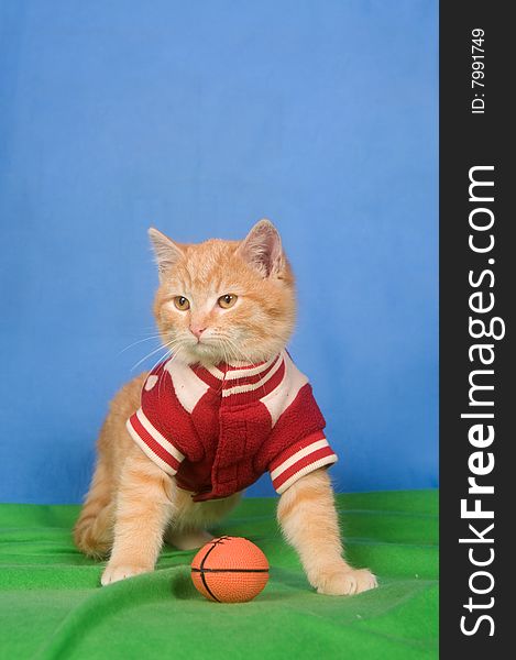 A kitten wearing a letterman jacket sits next to football on green and blue background. A kitten wearing a letterman jacket sits next to football on green and blue background.
