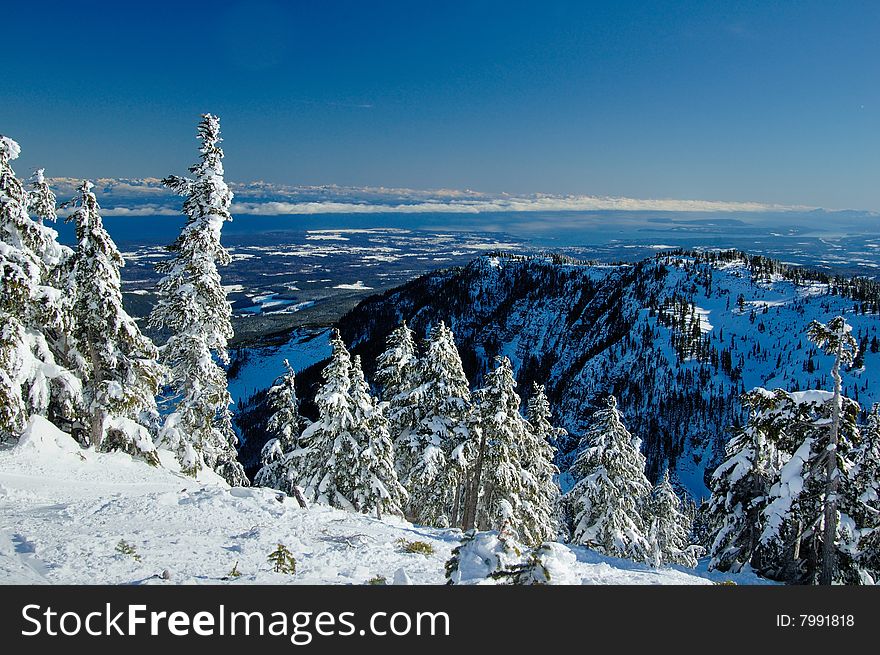 Ski slope in the snow forest