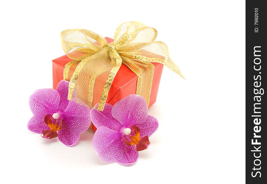 Gift box and orchid isolated on white background.