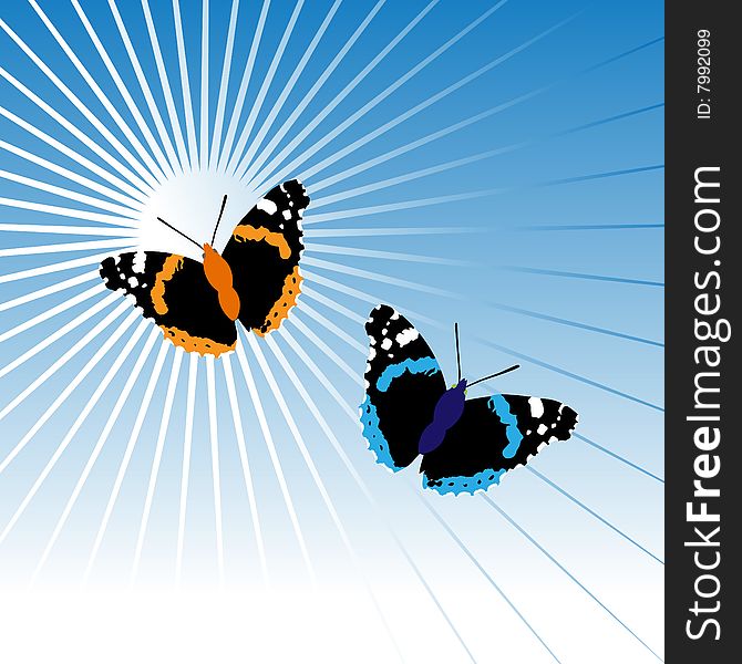 Two butterflies in sky, vector illustration
