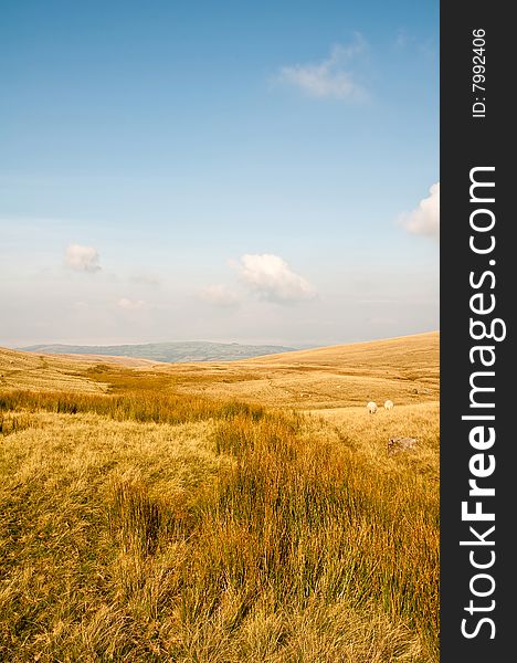 The Brecon Beacons National Park in Wales, UK.