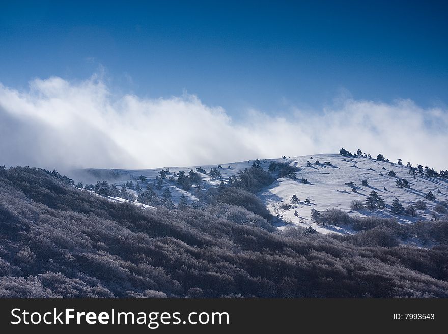 Mountain landscape with snow and trees. Mountain landscape with snow and trees