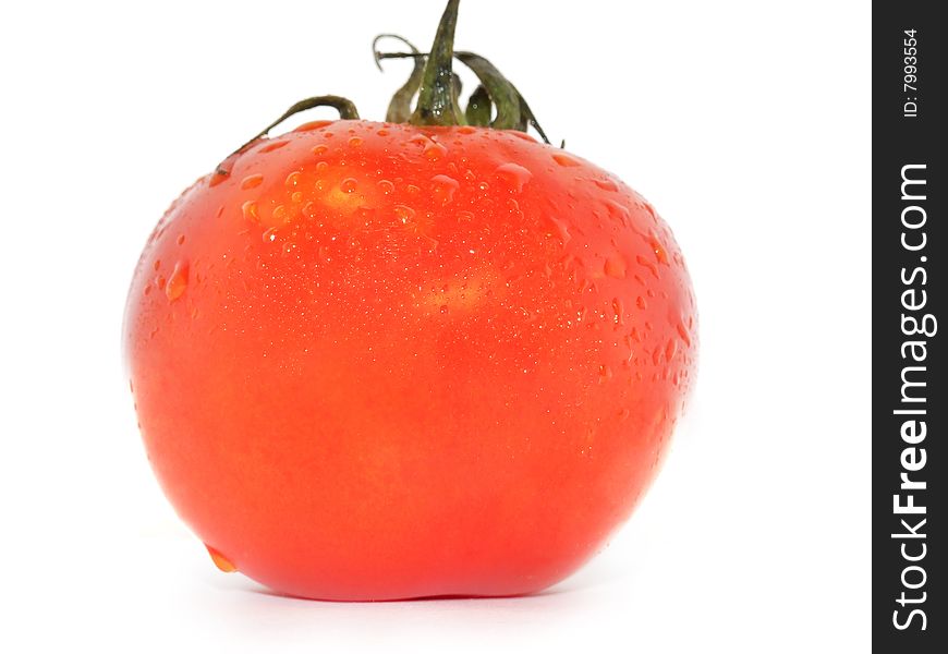 Fresh ripe tomato with the drops of dew