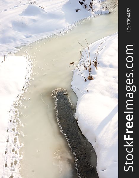 Animal tracks along frozen creek edge. Animal tracks along frozen creek edge