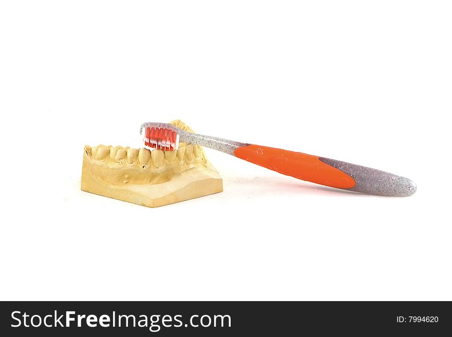 Brushing the teeth on a white background. Brushing the teeth on a white background.