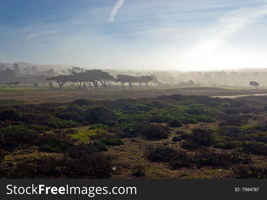 A field at Pebble Beach covered with fog. A field at Pebble Beach covered with fog