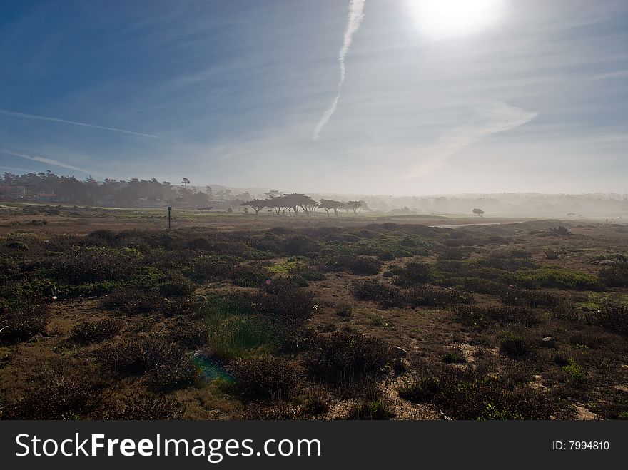 A field at Pebble Beach covered with fog. A field at Pebble Beach covered with fog