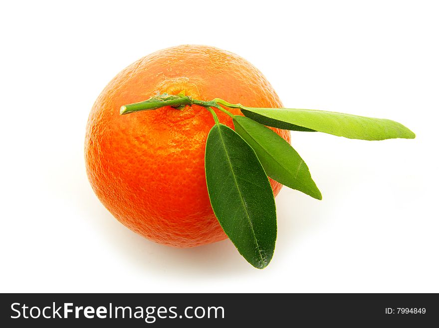 Tangerine isolated on a white background