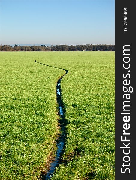 A narrow stream going through a grass field.