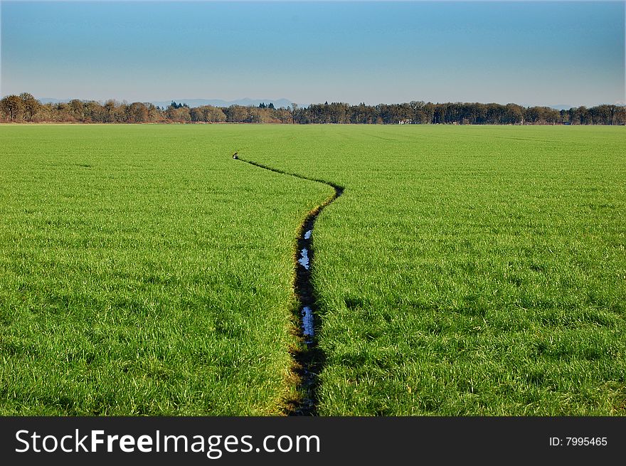 A narrow stream going through a grass field.