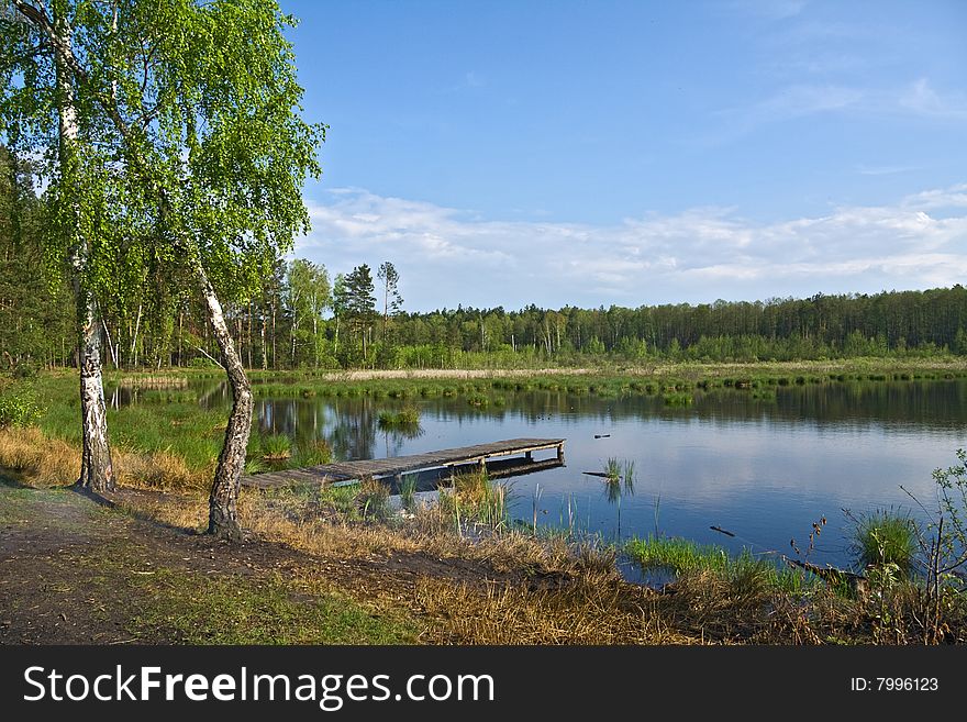 Lake in the forest in evening sun light