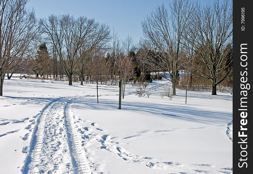 A set of snowy tracks