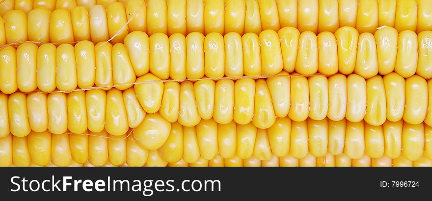 Close up of the corn cob. vegetables