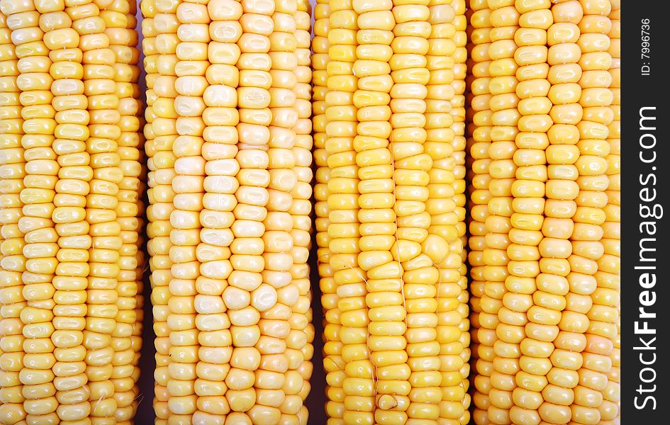 Freshly Harvested Corn Background, Close Up