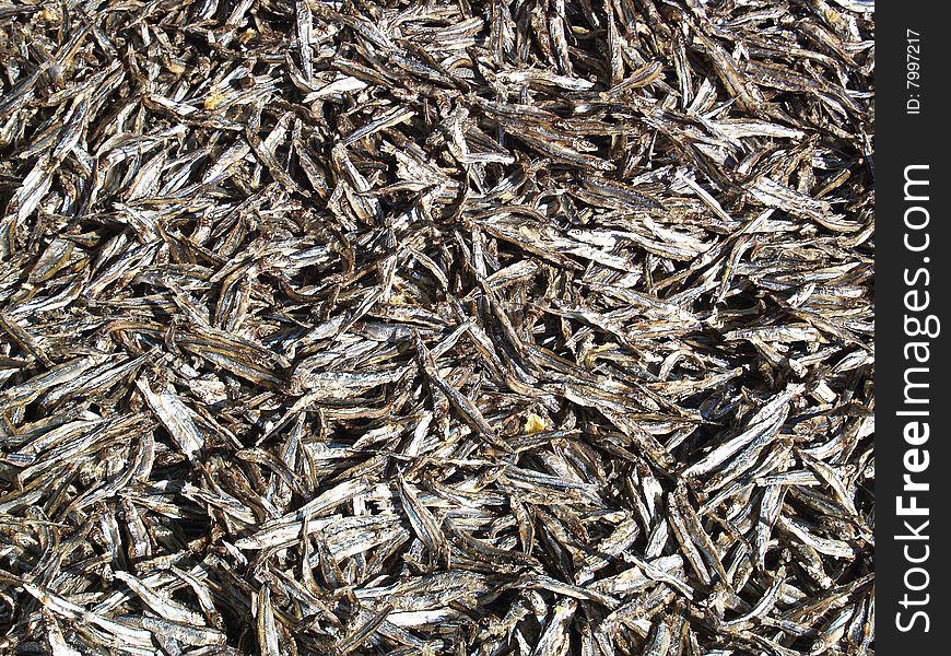 A pile of small fish drying in the sun. A pile of small fish drying in the sun