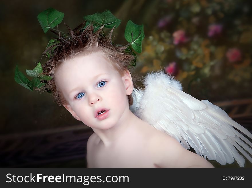 Beautiful Little Boy with bright blue eyes, innocent look, wings and crown of ivy. Beautiful Little Boy with bright blue eyes, innocent look, wings and crown of ivy.