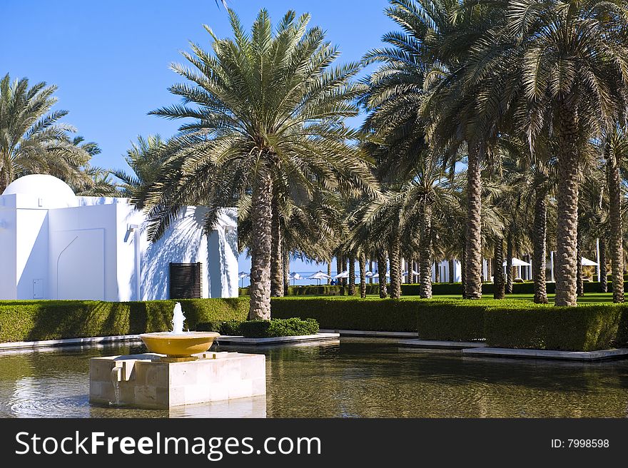 A lush garden with palm trees and water features. A lush garden with palm trees and water features.