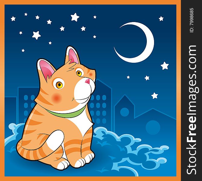 Baby cat in the night - vector illustration