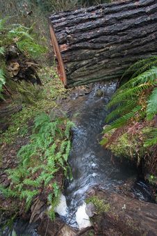 Waterfall Under Cut Tree Stock Photography Waterfall Under Cut Tree Stock Photography