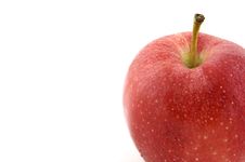 Fresh Red Apple Royalty Free Stock Images