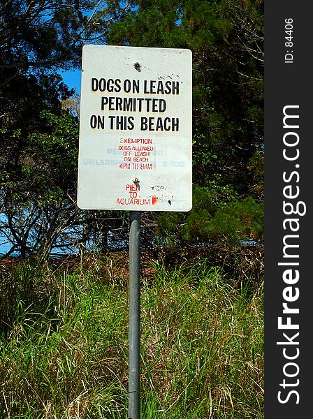 Beach dog control sign. Beach dog control sign