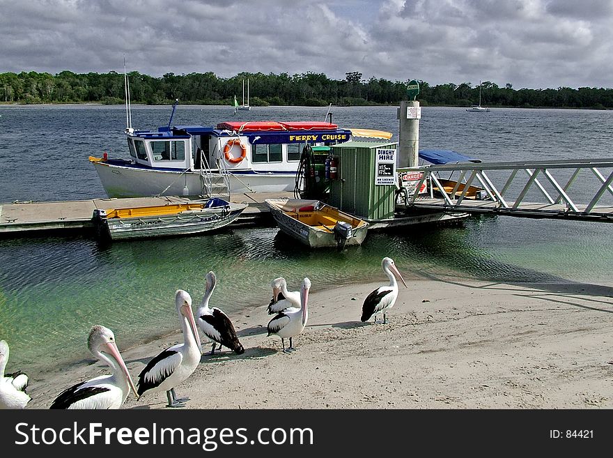 The dolphin cruise waiting to leave.