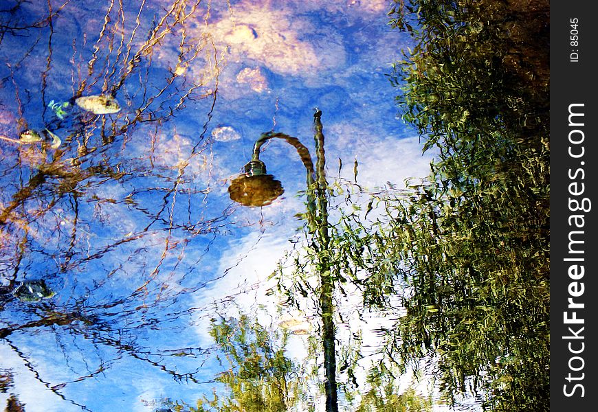 The branches of a tree and a light post reflected in a small lake in Nicosia, Cyprus. The branches of a tree and a light post reflected in a small lake in Nicosia, Cyprus