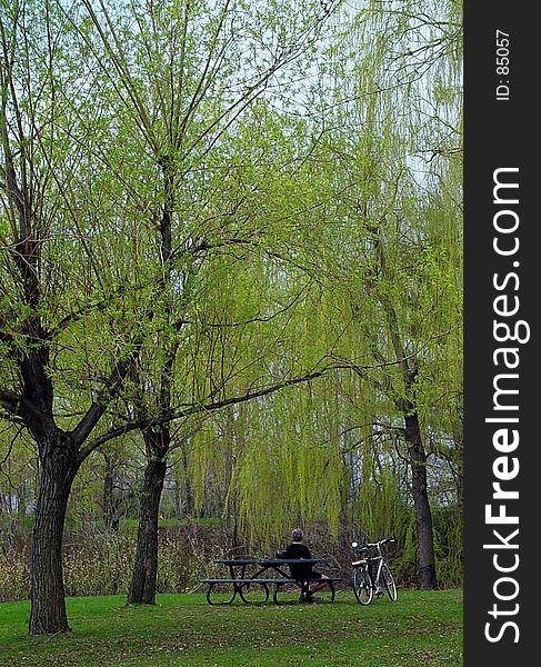 Man resting in the park after riding his bike. Man resting in the park after riding his bike