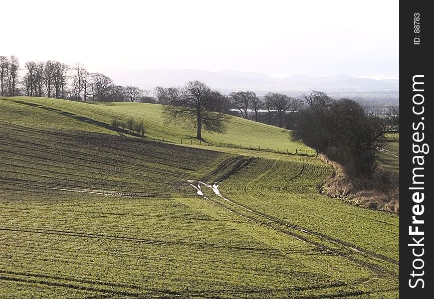 Tracked field into sun with lonely tree. Tracked field into sun with lonely tree