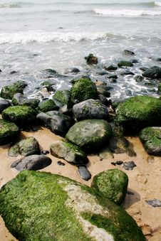 Moss On Rocks Stock Images Moss On Rocks Stock Images