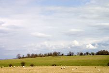 Rolling Countryside Royalty Free Stock Image Rolling Countryside Royalty Free Stock Image
