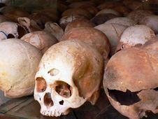 Skulls At Killing Fields Stock Photography