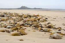 Sand, Pebbles And Holy Island Stock Image Sand, Pebbles And Holy Island Stock Image