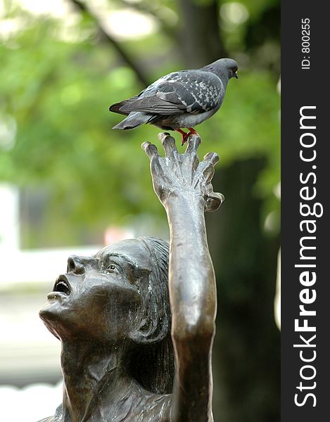 Pigeon And Statue