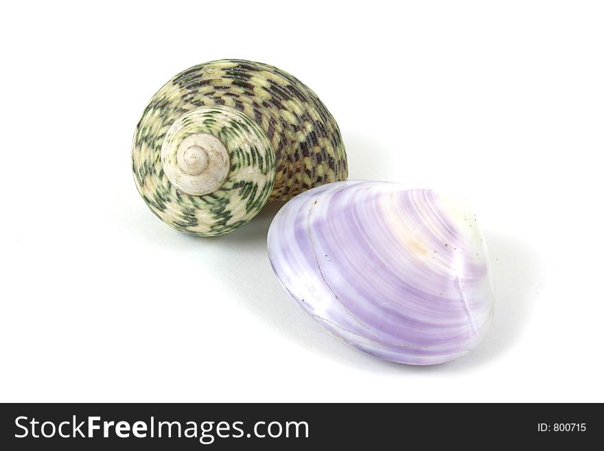 Shells. Shells